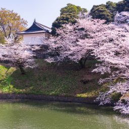 大場隆吉さんの皇室御用達ヘッドマッサージ？！円山カヲリも体験して判明した「ゼログラムタッチ」驚愕の事実とは！